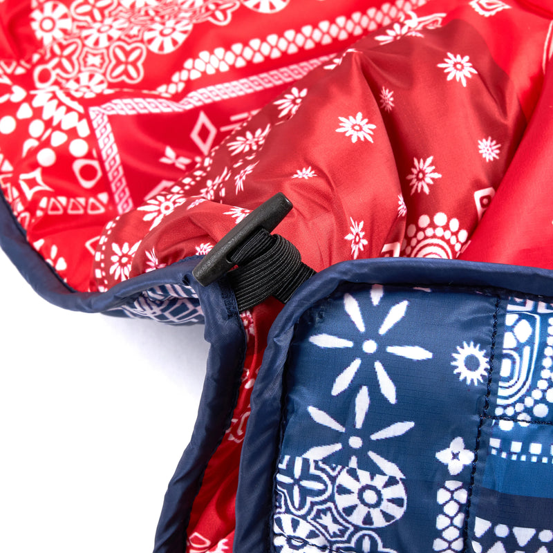Blue Bandanna / Red Bandanna